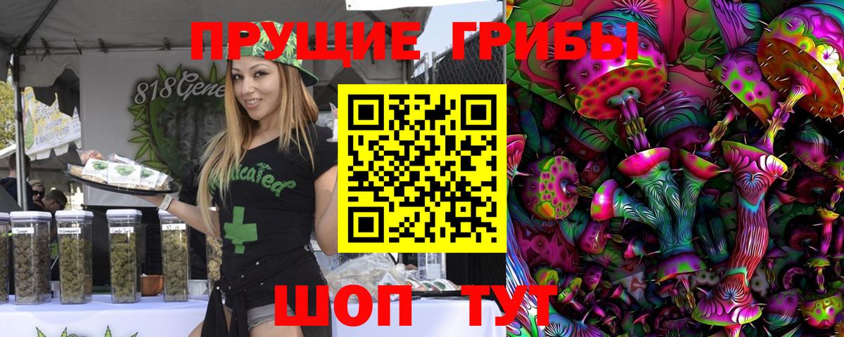 Галлюциногенные грибы Psilocybine cubensis  Вход с VPN  Михайловка 
