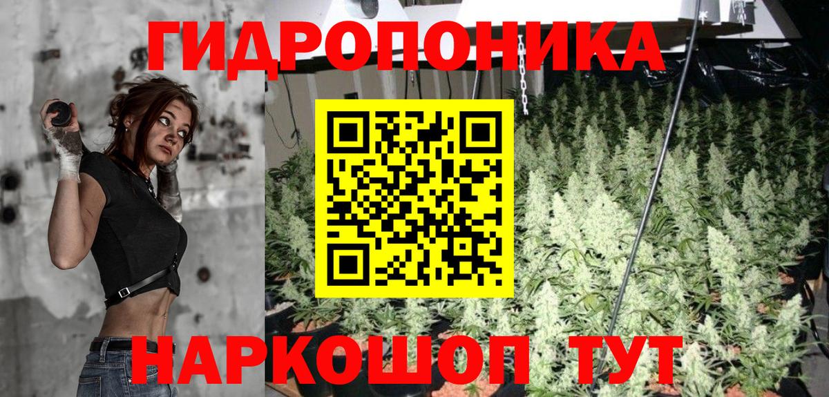 МАРИХУАНА SATIVA & INDICA Михайловка